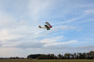 Oldtimer (10)